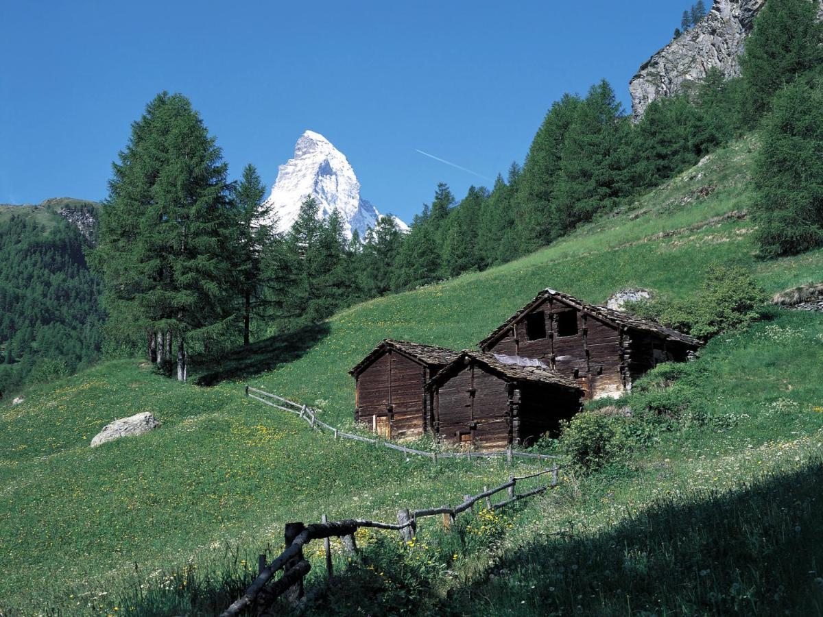 Apartment Grillon-3 By Interhome Zermatt Luaran gambar